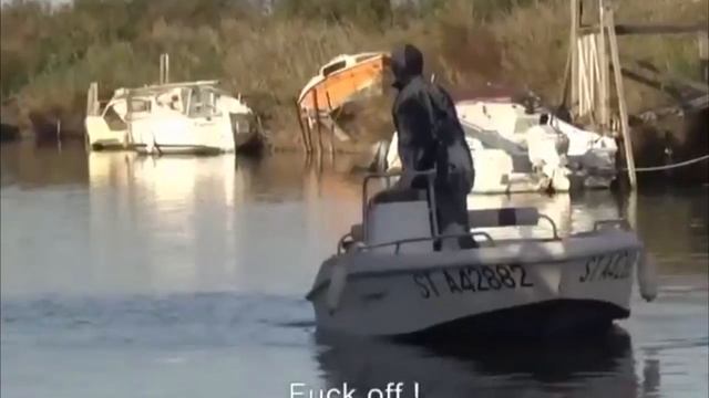 Шок, большая чайка напала на человека смотреть онлайн