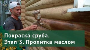 Чем покрасить деревянный дом? Почему масло, а не лак и советы от мастера