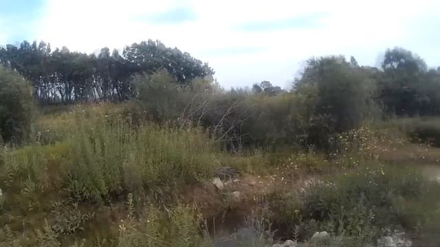 12-км велопоходик выходного дня (ВПВД). Варим сечку. смотреть онлайн