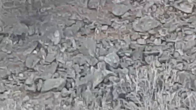 Кладка на дикой отвесной стене, где точно не могла "ступать нога человека " смотреть онлайн