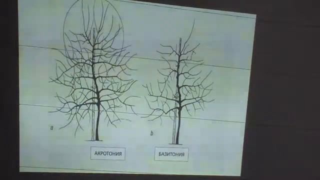 Семинар Комрат 06.02.2014 Манзюк Вал Вас Ч 2