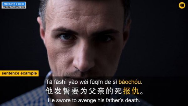 HSK 6 Complete Vocabulary Course | with Sentence Examples | 1 - 100 | Advanced Chinese