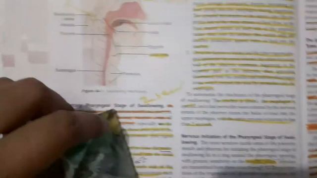 GIT Guyton Chp 64 part 3 Pharyngeal stage in detail #mjee смотреть онлайн