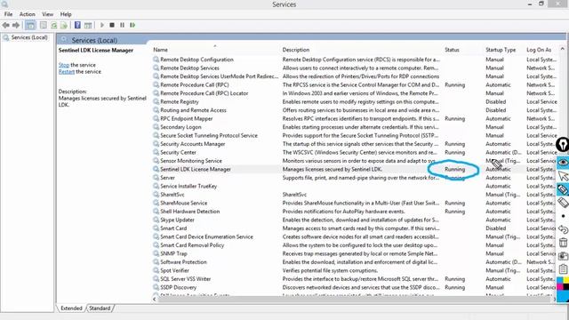 Starting the Sentinel LDK License Manager смотреть онлайн