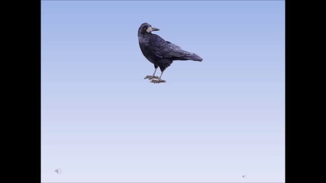 Перелетные птицы осенью "Один-много" смотреть онлайн