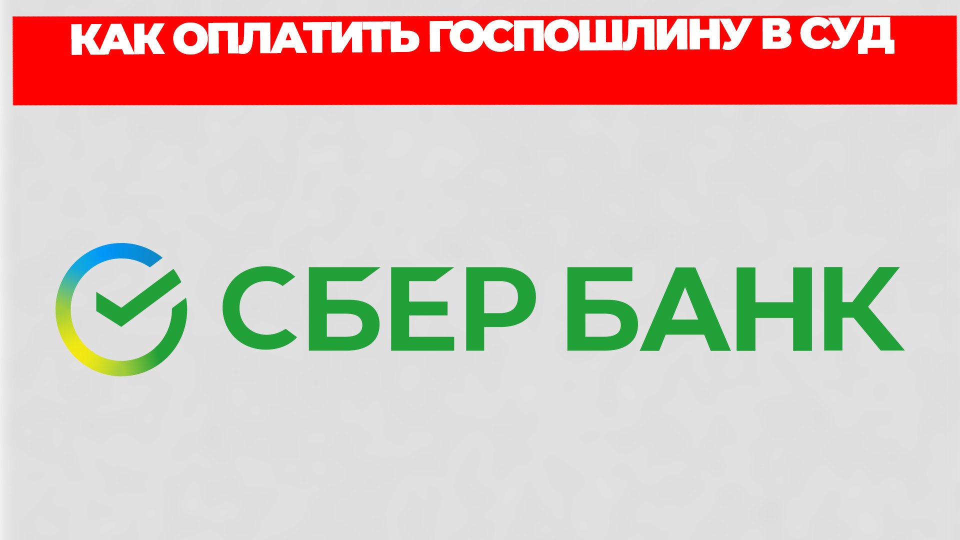 Всезнающий Енот