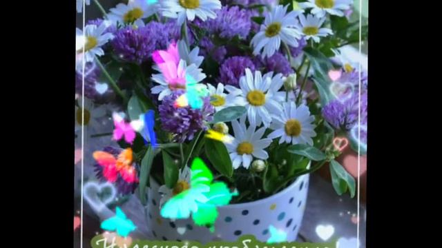 С Добрым Утром!!! Чудесного Дня! Очень Красивое, Яркое, Летнее Видео С Пожеланиями!🌹🌼🌸 смотреть онлайн