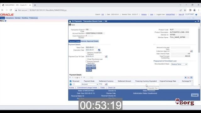 iBorg: Automating Oracle Flexcube Debugging смотреть онлайн