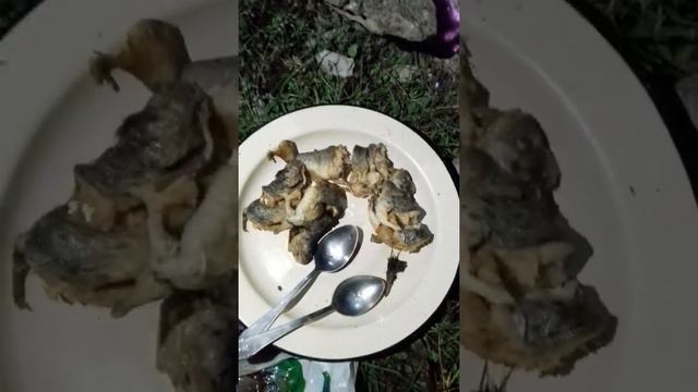Рыбалка Алатай смотреть онлайн