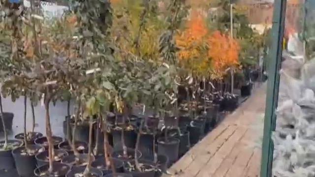 "Интервью на фоне портрета" Екатерина Косолапова 05.11.2019 смотреть онлайн