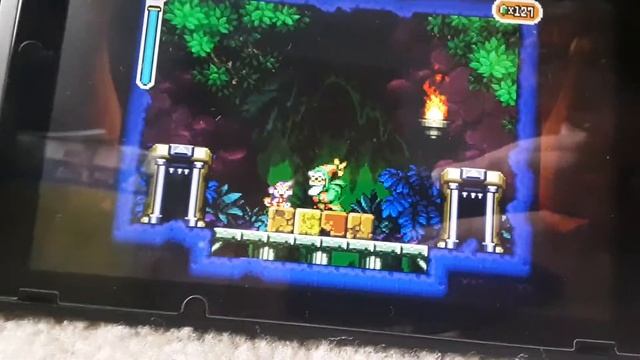 Shantae Risky's Revenge Director's Cut (Switch) Review