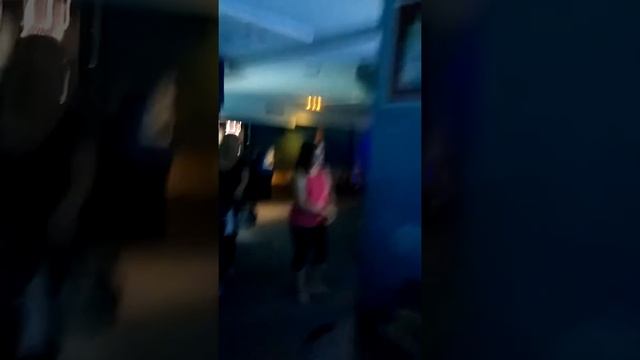 Тропикариум-океанариум в Будапеште смотреть онлайн