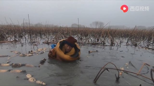 Адский труд на адской ферме: как китайцы выращивают овощи смотреть онлайн