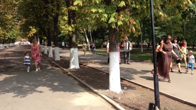 Свадьба в Шахтах смотреть онлайн