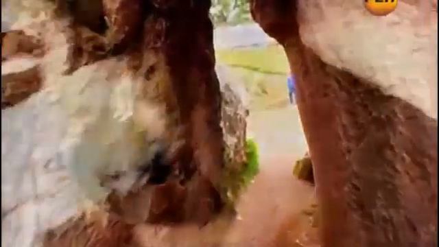 Живые Чудовища Марианской впадины смотреть онлайн