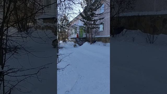 Обзор территории. Показываю номер. Лайфак, как разогреть еду, если нет микроволновки. смотреть онлайн