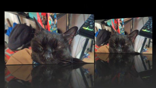 Lexi & Luna смотреть онлайн