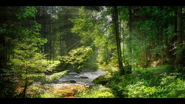 Нежная Музыка Для Души, Отдыха, Снятия Усталости, Для Сна. смотреть онлайн