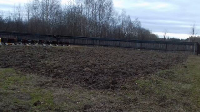 Сеем фацелию под безвзяточный период .14.04.2019г. смотреть онлайн