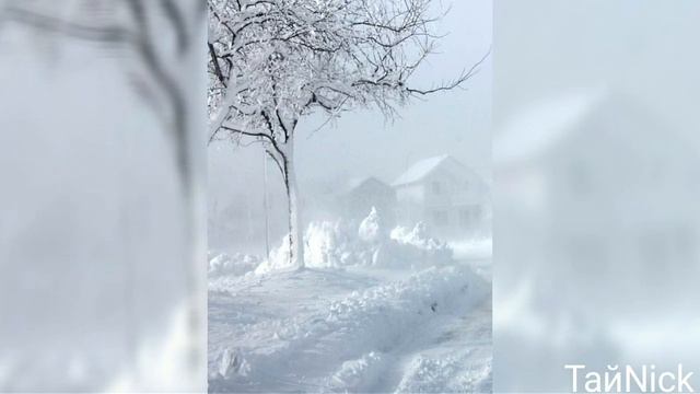 Невероятные тайны снега и зимы смотреть онлайн