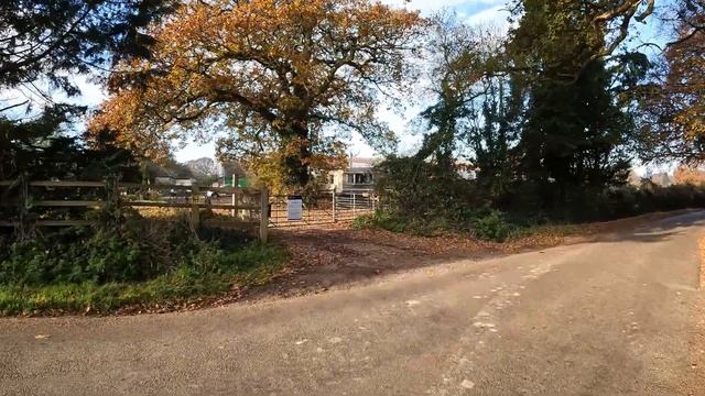 NEW FOREST WALK at TATCHBURY MOUNT (NEW FOREST NATIONAL PARK) [4K] смотреть онлайн