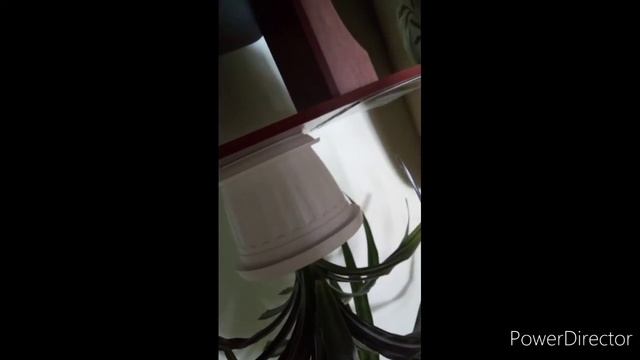 Многодетная мать лишается работы из за разборок с электросетями , по чьей вине? смотреть онлайн