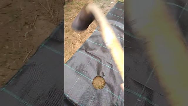 Как сделать круглые ровные отверстия в мульчирующей пленке для посадки растений, клубники смотреть онлайн