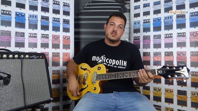 Epiphone Wildkat Guitarra eléctrica Bigsby Natural смотреть онлайн