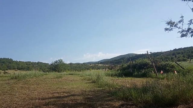 Пресс.Где ты есть?) Вам нравится такая обстановка?..) смотреть онлайн