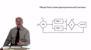 Евсеев А.В. Нормальная физиология. Лекция №11. Координационная деятельность ЦНС. Гемодинамика. 2023
