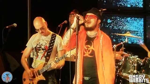 Ростов Папа 'Angry Rabbits' 26 сентября 2013 клуб Хот Догс)(1)