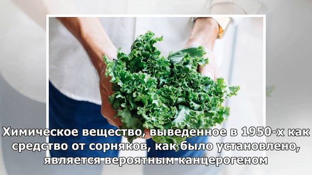 Какой овощ загрязнен пестицидами больше остальных? Ученые знают ответ смотреть онлайн