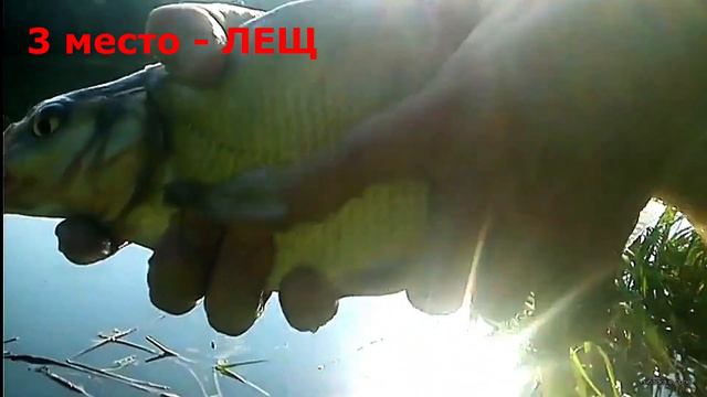 Рекорды 2021 года смотреть онлайн