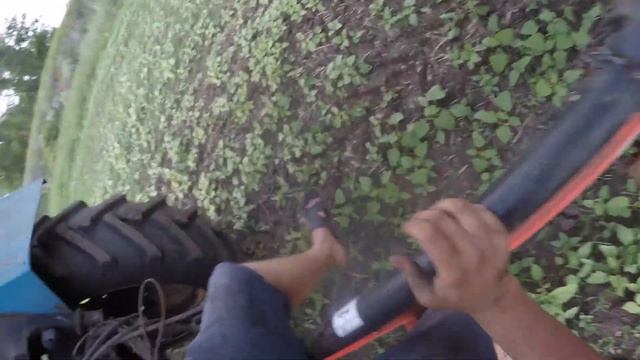 Боремся с бурьяном на посевах подсолнечника гербицидом МОТОР. МТЗ-80 с опрыскивателем KUHN. смотреть онлайн