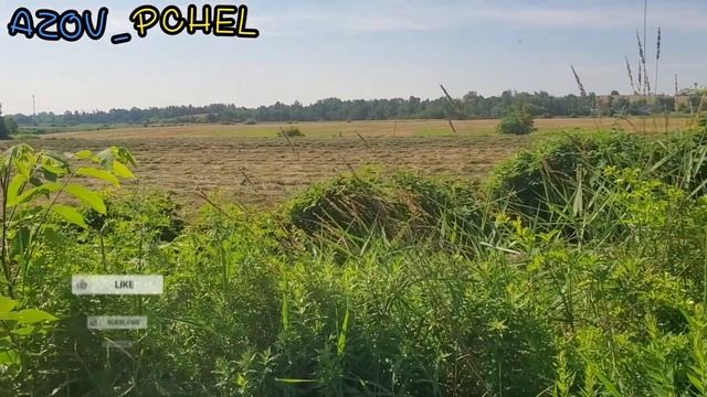 А ви казали, немає різниці... #пчеловодствов6тирамочныхульях смотреть онлайн