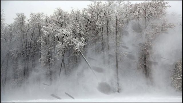 Ночная метель. Воющий ветер и звуки вьюги для сна. Зимняя атмосфера смотреть онлайн