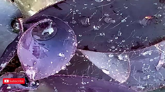 Gary Barlow - Back For Good / 1 Hour Music