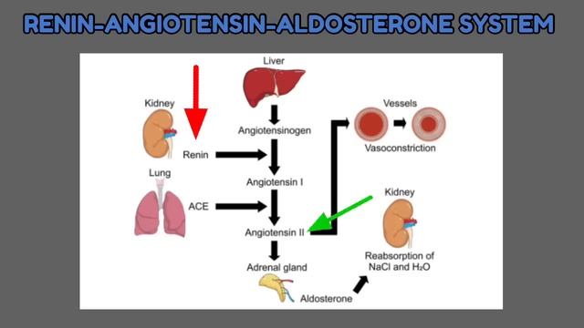 LOSARTAN side effects tagalog | LOSARTAN gamot sa high blood pressure | Simply Shevy смотреть онлайн