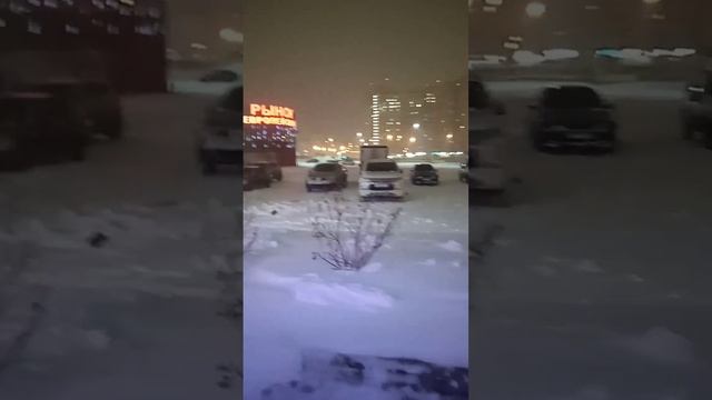 Зимой надо людям всем спать, а не ходить на работу и не праздновать новый год. смотреть онлайн