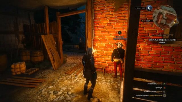 ОНЕЙРОМАНТКА - ВЕДЬМАК 3 ( The Witcher 3 )( все DLC ) - 23 смотреть онлайн