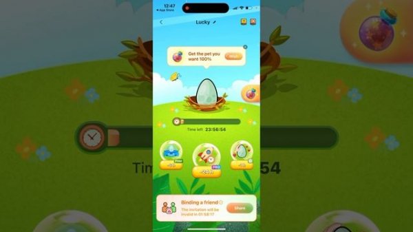 How to use PET CO-PARENTING in WIDGETABLE app? Full guide