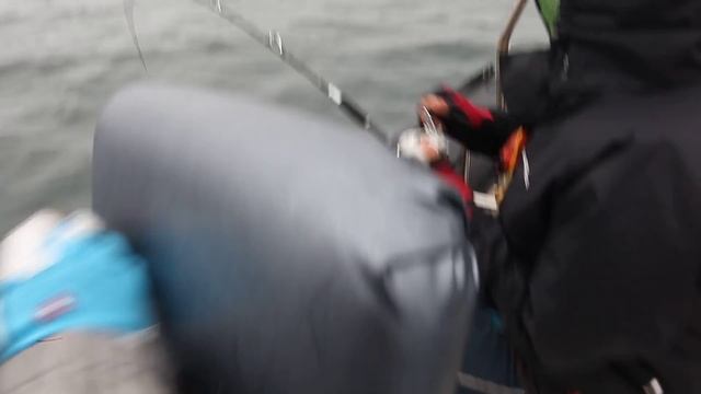맨땅님 아버님 참돔 랜딩 동영상 red sea-bream JS Company Lure Fishing [ 몽셔날 피싱그라피 - Mongtional Fishing Graphy ] смотреть онлайн