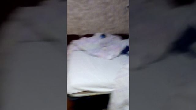 когда тебе высылают много SMS песня новая амогус смотреть онлайн