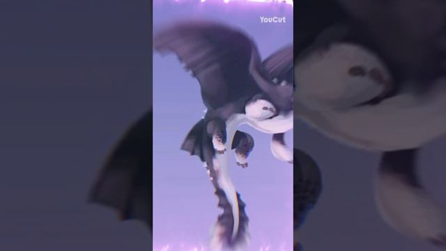 кошка или собака канешна дракон😘