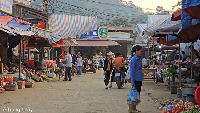 Picking Forest Fruits To Sell - Husband Goes Looking For His Wife