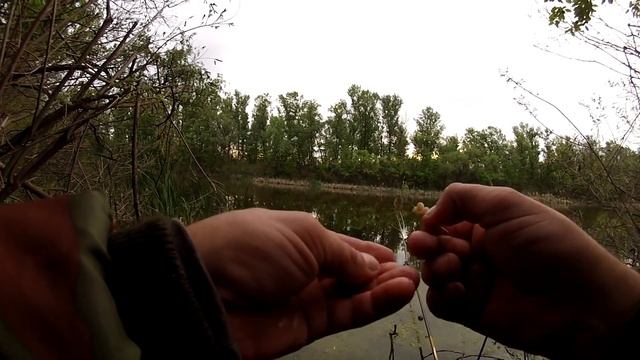 КРУПНЫЙ КАРАСЬ НА ПЕРЛОВКУ смотреть онлайн