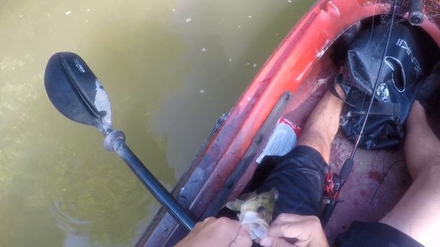 2019 #25 - Peacefulness of kayak fishing on the river - {1080p} смотреть онлайн