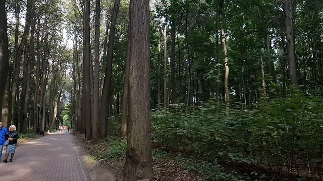 Весь офис смеялся над уборщицей в жалкой одежде, но когда приехал босс с проверкой, все обомлели смотреть онлайн