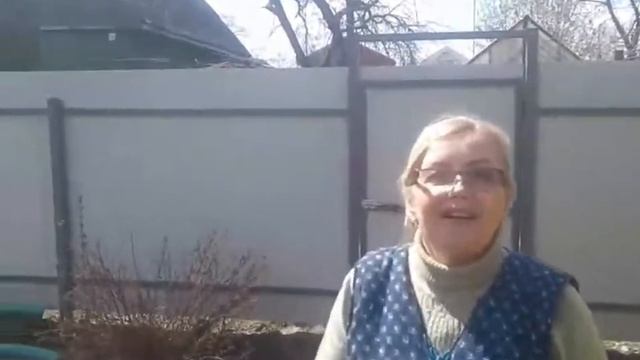 Забор из профлиста цена смотреть онлайн