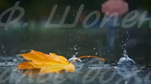 Вальс дождя - Ф Шопен смотреть онлайн